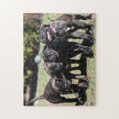 Niedlich Cane Corso Puppy Puzzle (Vertikal)