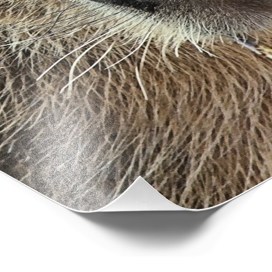 NIEDLICH CAPYBARA FOTODRUCK (Ecke)