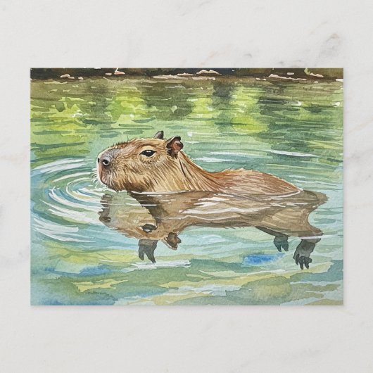 Niedlich Capybara Schwimmen Postkarte (Vorderseite)