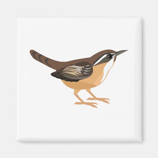 Niedlich Carolina Wren Magnet (Vorne)