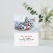 Niedlich Cat Bitting Red Weihnachtsmannmütze Xmas  Postkarte (Stehend Vorderseite)