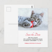 Niedlich Cat Bitting Red Weihnachtsmannmütze Xmas  Postkarte (Vorne/Hinten)