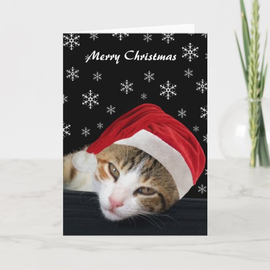 Niedlich Cat Christmas Cards Feiertagskarte (Vorderseite)