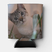 Niedlich Cat Foto Portrait Dosenkühler (Vorderseite)