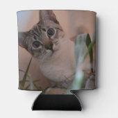 Niedlich Cat Foto Portrait Dosenkühler (Rückseite)