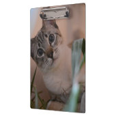Niedlich Cat Foto Portrait Klemmbrett (Links)