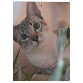 Niedlich Cat Foto Portrait Klemmbrett (Rückseite)