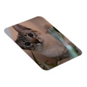 Niedlich Cat Foto Portrait Magnet (Rechte Seite)