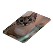 Niedlich Cat Foto Portrait Magnet (Linke Seite)
