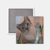 Niedlich Cat Foto Portrait Magnet (Vorderseite/Rückseite)