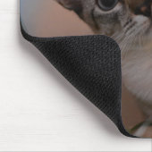 Niedlich Cat Foto Portrait Mousepad (Ecke)