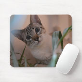Niedlich Cat Foto Portrait Mousepad (Mit Mouse)
