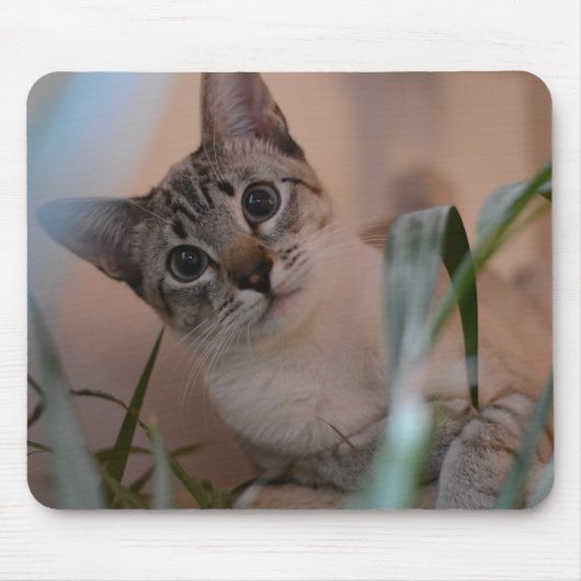 Niedlich Cat Foto Portrait Mousepad (Vorne)