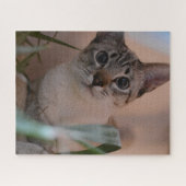 Niedlich Cat Foto Portrait Puzzle (Horizontal)