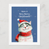 Niedlich Cat Frohe Weihnachtskarte Feiertagspostkarte (Vorderseite)