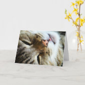 Niedlich Cat Hi Hello Wie Spaß beim Gruß Karte (Gelbe Blume)