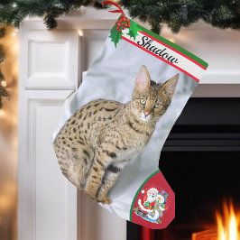 Niedlich Cat Kitten Foto Weihnachten Strumpf Name Kleiner Weihnachtsstrumpf