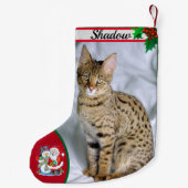 Niedlich Cat Kitten Foto Weihnachts Strumpf Name Kleiner Weihnachtsstrumpf (Rückseite)