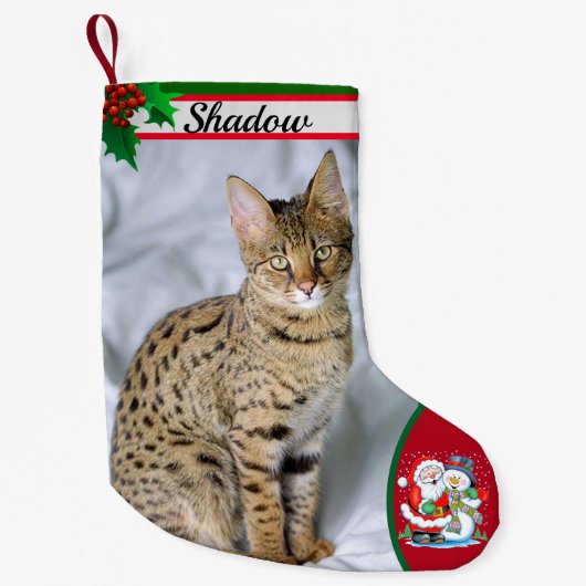 Niedlich Cat Kitten Foto Weihnachts Strumpf Name Kleiner Weihnachtsstrumpf (Vorderseite)