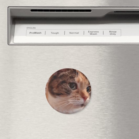 Niedlich Cat Kühlschrank Button Magnet (In Situ (Geschirrspüler))