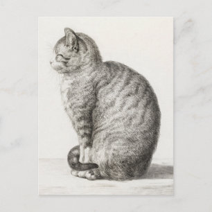 Niedlich Cat Sketch Jean-Bernard Duvivier Postkarte
