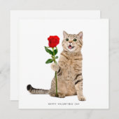 Niedlich Cat Valentinstag Card Feiertagskarte (Vorne/Hinten)