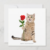 Niedlich Cat Valentinstag Card Feiertagskarte (Vorderseite)