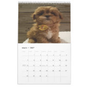 Niedlich Cavachon Dog Kalender (Mär 2027)