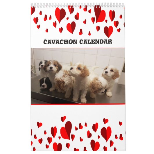 Niedlich Cavachon Dog Kalender (Titelbild)