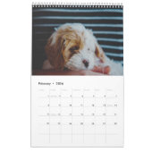 Niedlich Cavachon Dog Kalender (Feb 2026)