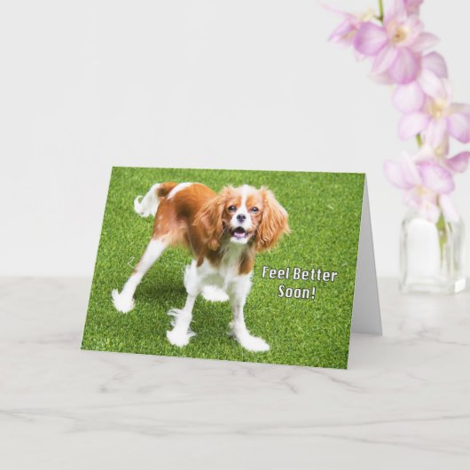 Niedlich Cavalier King Charles Feel Better Card Karte (Orchidee)