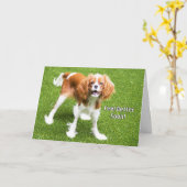 Niedlich Cavalier King Charles Feel Better Card Karte (Gelbe Blume)