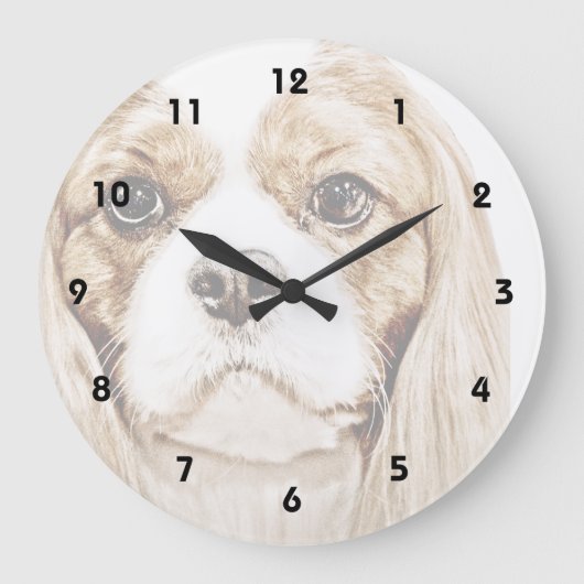 Niedlich Cavalier King Charles Spaniel Große Wanduhr (Vorderseite)