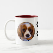 Niedlich Cavalier King Charles Spaniel Kaffee Tass Zweifarbige Tasse (Links)