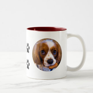 Niedlich Cavalier King Charles Spaniel Kaffee Tass Zweifarbige Tasse