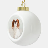 Niedlich Cavalier King Charles Spaniel Ornament (Rechts)
