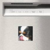Niedlich Cavalier Spanial Dog Magnet (In Situ (Geschirrspüler))