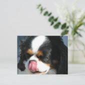 Niedlich Cavalier Spanischer Hund Postkarte (Stehend Vorderseite)