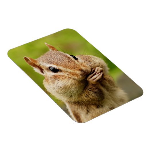 Niedlich Cheeky Chipmunk Magnet (Rechte Seite)