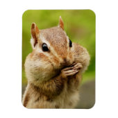 Niedlich Cheeky Chipmunk Magnet (Vertikal)