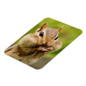 Niedlich Cheeky Chipmunk Magnet (Linke Seite)