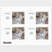 Niedlich Cheetah Cub Foto Name / Rechteckiger Aufkleber (Blatt)