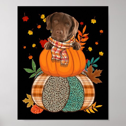 Niedlich Chesapeake Bay Retriever Pumpkinthanksgiv Poster (Vorne)