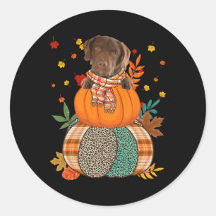 Niedlich Chesapeake Bay Retriever Pumpkinthanksgiv Runder Aufkleber