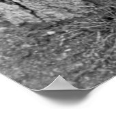 Niedlich Chick, 1937 Poster (Ecke)