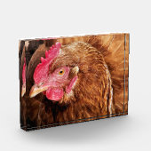 NIEDLICH CHICKEN FOTOBLOCK (Links)