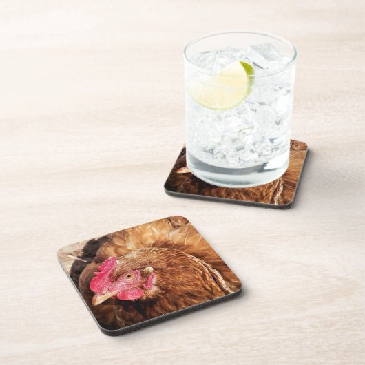 NIEDLICH CHICKEN GETRÄNKEUNTERSETZER (Rechte Seite)