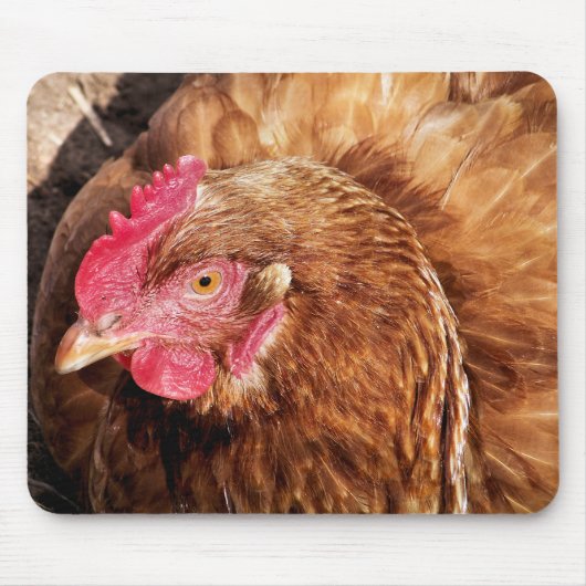 NIEDLICH CHICKEN MOUSEPAD (Vorne)