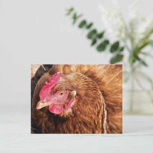 NIEDLICH CHICKEN POSTKARTE (Stehend Vorderseite)