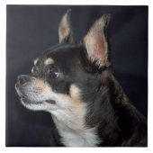 Niedlich Chihuahua Dog Fliese (Vorderseite)
